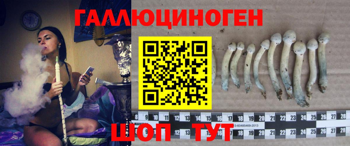 Галлюциногенные грибы прущие грибы  Вход с VPN  Псилоцибиновые грибы MAGIC MUSHROOMS  Искитим 