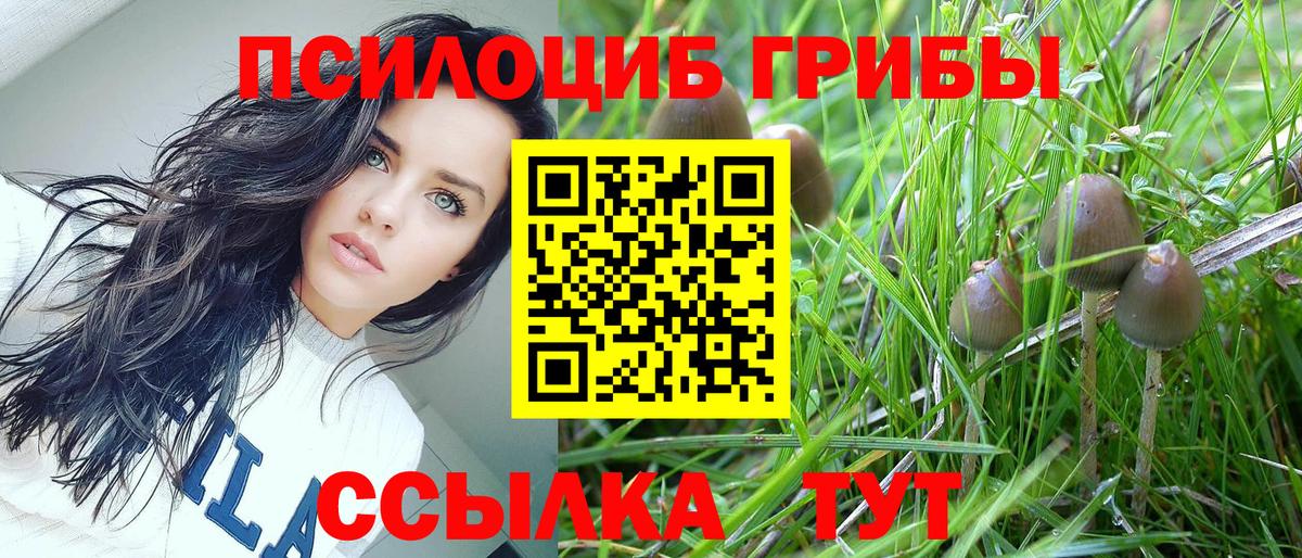 Псилоцибиновые грибы ЛСД Искитим